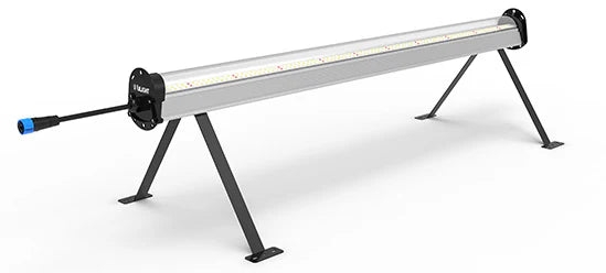 ULight 100W Inter Canopy Light
