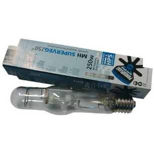 250W MH Retro Bulb