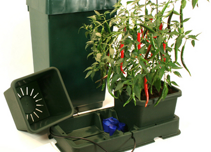 Auto Pot 2 pot system