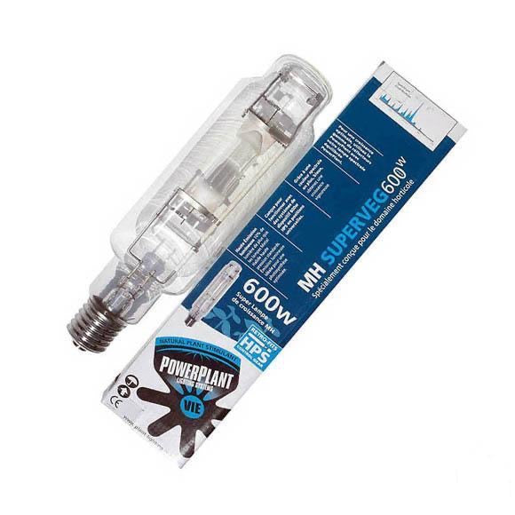 600W MH Retro Bulb