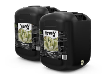 Floramax VegaFlora A+B 20L