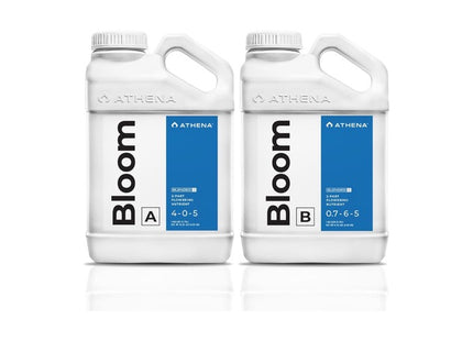 Athena Bloom A & B 3.78L