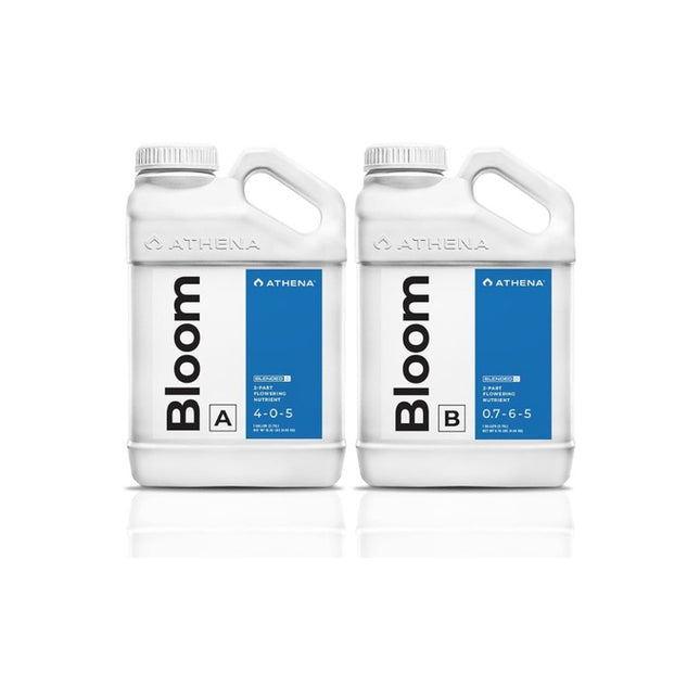 Athena Bloom A & B 3.78L