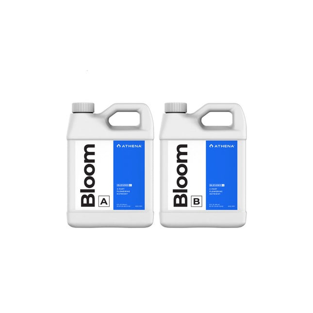 Athena Bloom A & B 0.9L