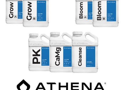 Athena Blended Line Starter Kit 1 Gallon