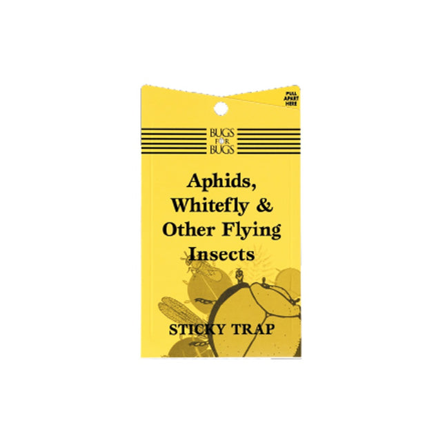 Yellow Sticky Fly Traps