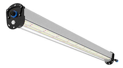 ULight 100W Inter Canopy Light