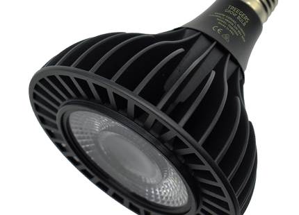 Treegers GB30W LED Bulb