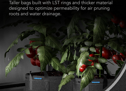 AC Infinity Heavy Duty Fabric Pots 3 Gallon 5 Pack