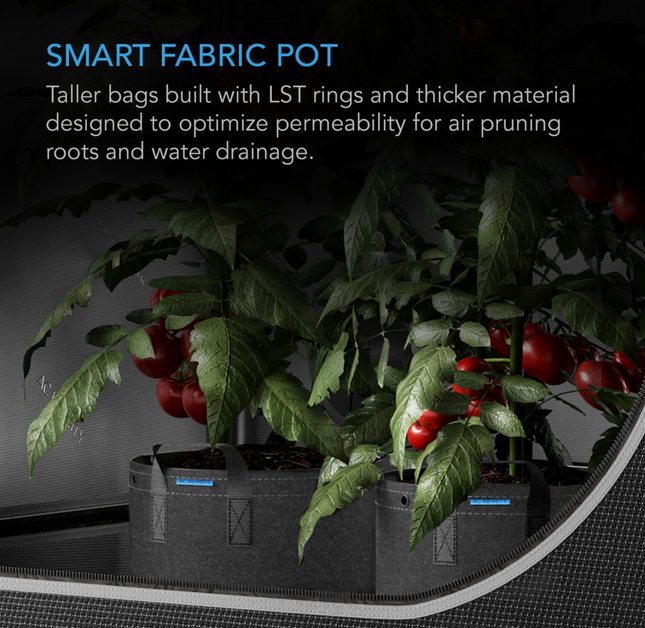 AC Infinity Heavy Duty Fabric Pots 3 Gallon 5 Pack