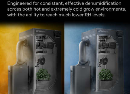 AC Infinity Hydrone 7 Dehumidifier