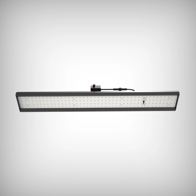 4 Seasons Aurora V1 Vegetive Grow Light