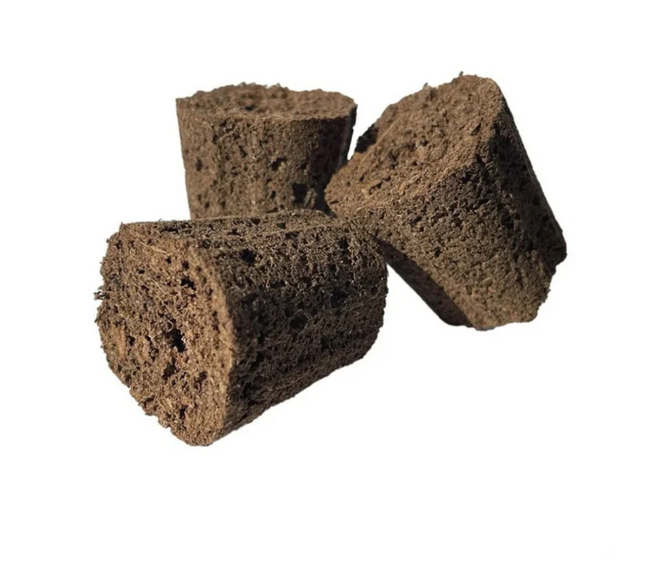 Canna Root Plugs 77 Tray
