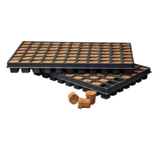 Canna Root Plugs 77 Tray
