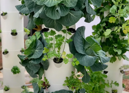 Tiny Tower Garden 5 Layer