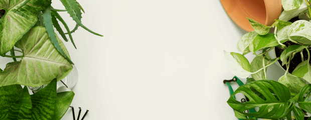 Banner image for: <h6><span style="text-decoration:underline">GEAR FOR EVERY GROW</span></h6><h1>Your one stop <br/>hydroponics shop</h1>