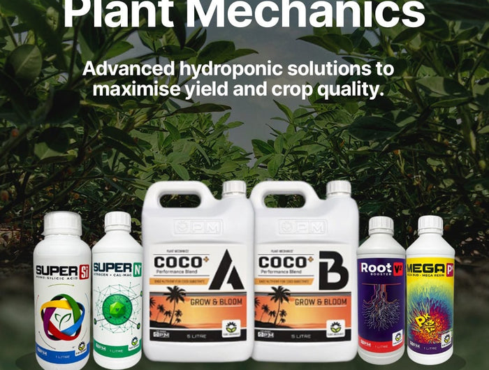<h2>Precision grow performance</h2>