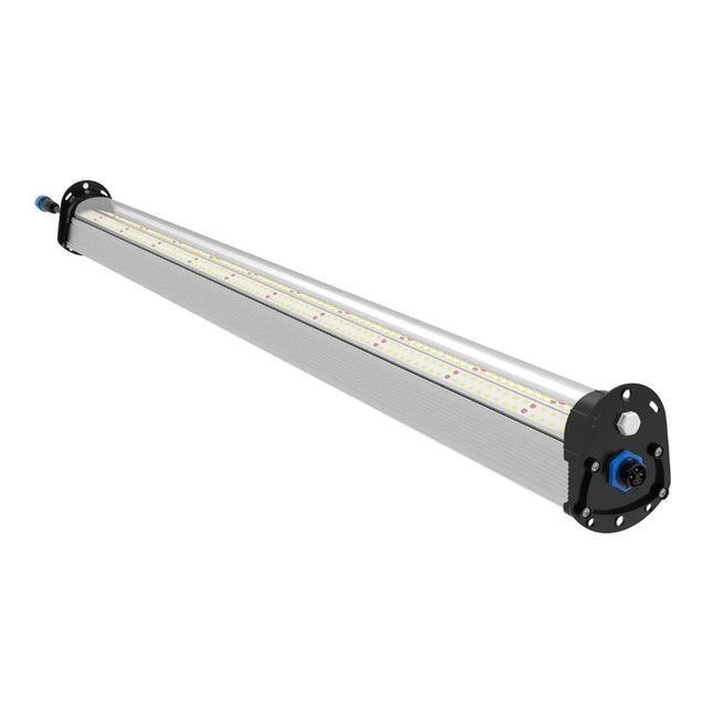 ULight 100W Inter Canopy Light