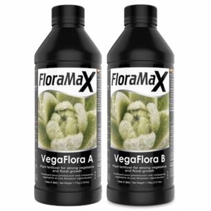 FloraMax VegaFlora A+B 1L