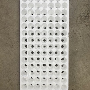 Polystyrene tray 98 hole