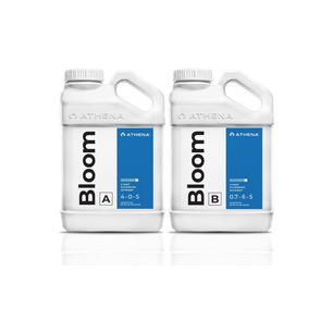 Athena Bloom A & B 3.78L